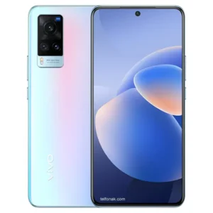 vivo X60