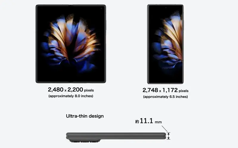 أبعاد نوبيا فولد